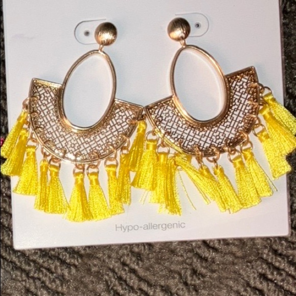 NWT Tassel Earrings